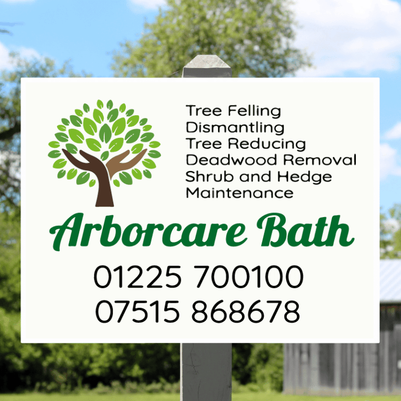 Site Board for tree care